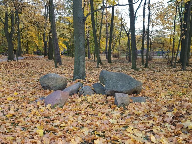 Park 1000-lecia w Lesznie na chwilę przed zachodem słońca