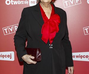 Dokładnie 20 lat temu wyemitowano 1. odcinek serialu Niania. Tak dziś wyglądają bohaterowie