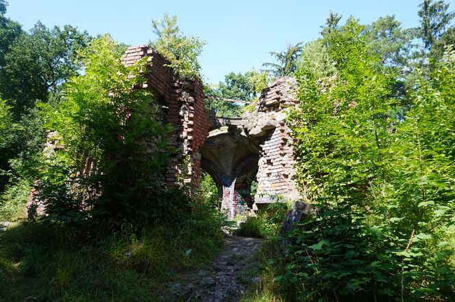 Las Arkoński