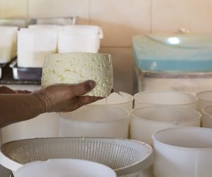 Znasz ten polski ser? Zdrowszy od mozzarelli, poprawia odporność, reguluje ciśnienie