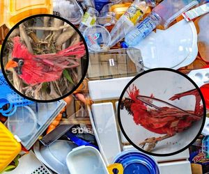 Ten artysta w swoich pracach wykorzystuje materiały nienadające się do recyklingu. Tak powstają wyjątkowe rzeźby Thomasa Deiningera [ZDJĘCIA]