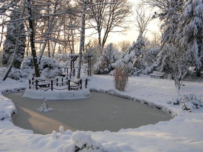 Ogród botaniczny w Zabrzu zostanie rozbudowany. W planach większa szklarnia nowe nasadzenia  [ZDJĘCIA]