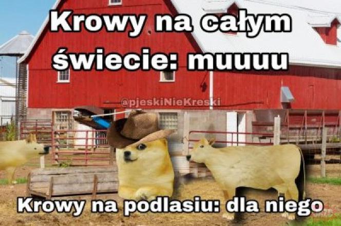 Najlepsze memy o Podlasiu. Zobacz najciekawsze memy o województwie podlaskim. Ubaw do łez!