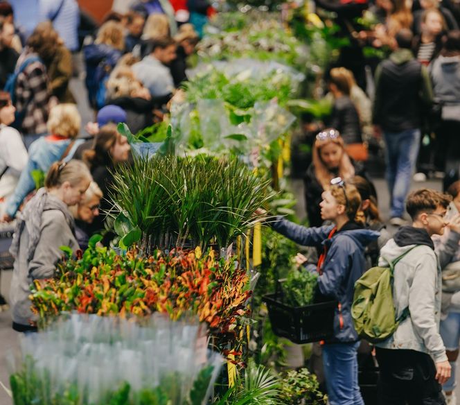 W Lesznie odbędzie się Festiwal Roślin 