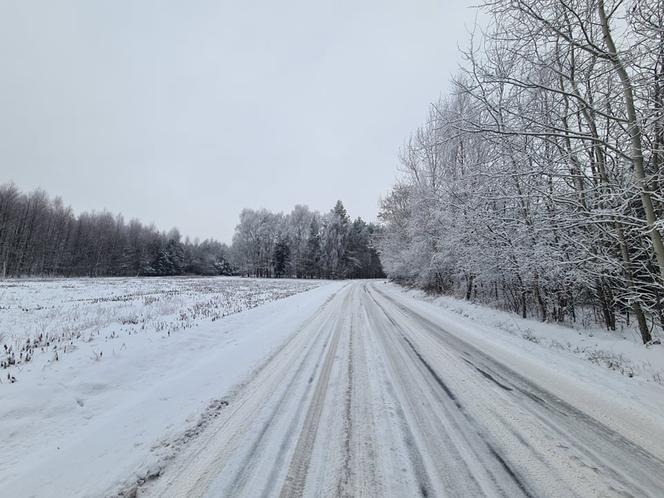 Zima na Podkarpaciu. Niezwykłe krajobrazy [ZDJĘCIA]