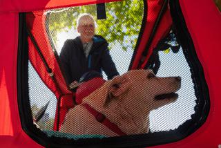 Tajga nie może już chodzić. Pan Marek wozi ją rowerem w wózku! 