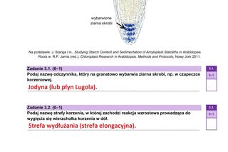 Matura 2025 biologia rozszerzona: ODPOWIEDZI do wszystkich zadań, gotowe rozwiązania matury z biologii rozszerzonej [9.05.2025]	