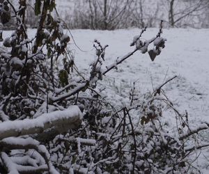 Zima w Świętokrzyskiem. Skarżysko-Kamienna (22.11.2024)