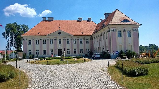 Pałac w Witosławiu