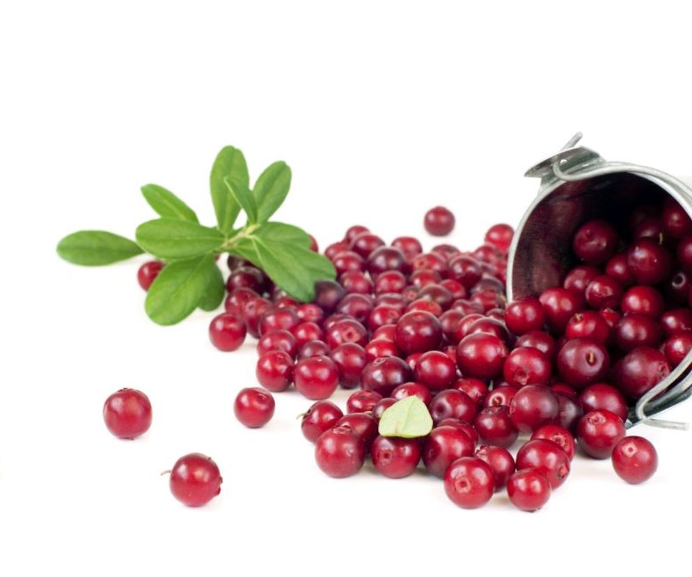 Żurawina  wygląda niepozornie, ale jest wyjątkowo smaczna. Sprawdź, jak zbierać i przechowywać żurawinę, by zachowała swoje właściwości lecznicze. Podajemy  przepisy na przetwory z żurawiny .