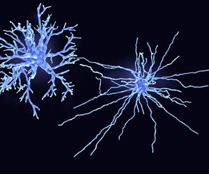 Komórki glejowe - definicja, funkcje