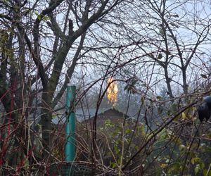 Słup ognia nad Krakowem. Potężny pożar gazu na popularnym osiedlu