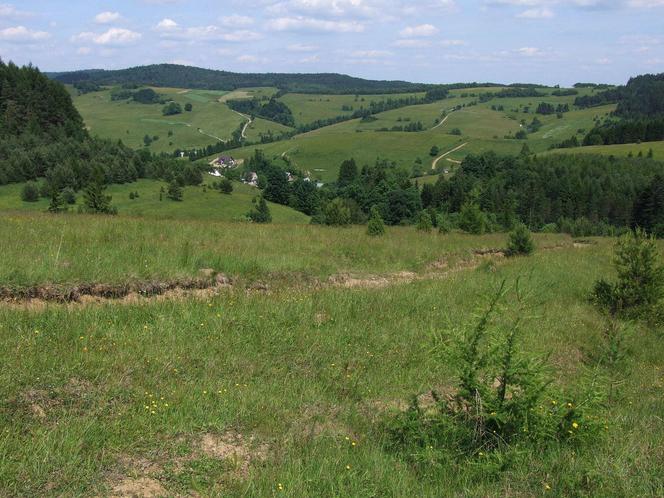 Zapomniane pasmo górskie w Małopolsce. Kiedyś zamieszkiwali je Łemkowie, po których pozostały tylko krzyże 