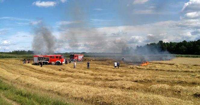 Bolesty. Żniwa w pełni, a kombajn stanął w ogniu! Dramat rolników z podlaskiego