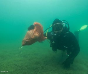 jezioro Tarnobrzeskie Niezwykła akcja płetwonurków
