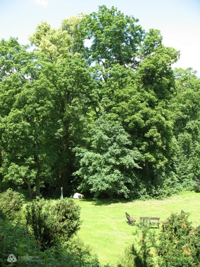 Ten pałac ma ponad 400 lat! Wyjątkowe miejsce na mapie woj. warmińsko-mazurskim