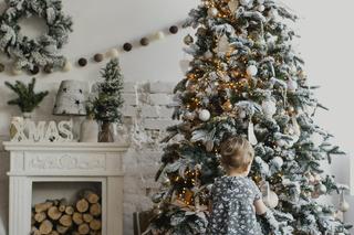 Gotowe choinki z ozdobami czy żywe drzewka? Nowoczesna choinka na pniu to hit! Zobacz 20 inspiracji