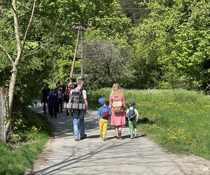 Majówkowe szaleństwo w małopolskiej wsi. Leży na terenie parku narodowego