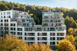 Leśna Sonata w Sopocie