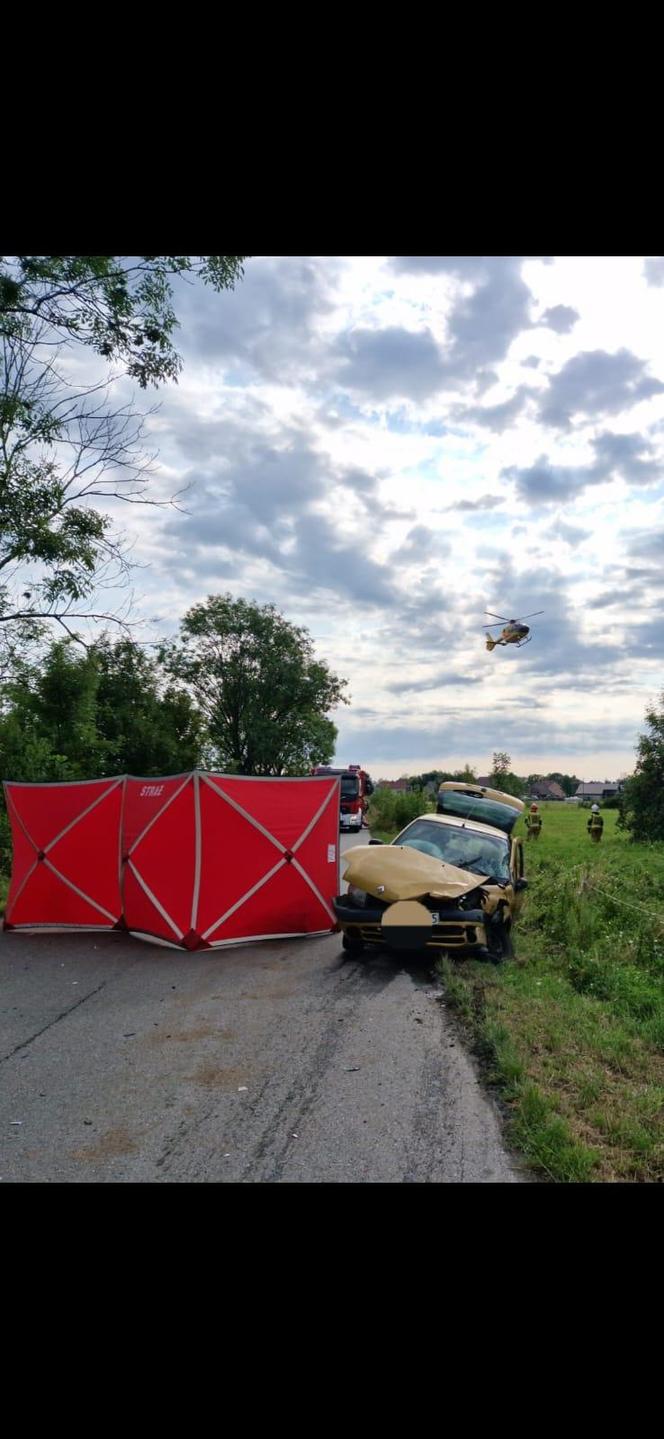 Groźny wypadek drogowy w miejscowości Wrzępia w powiecie brzeskim