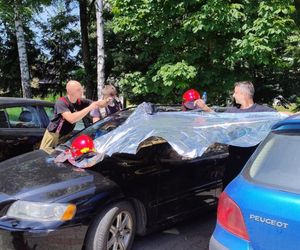 Turyści zostawili psa w samochodzie