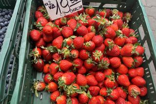 Truskawki w Szczecinie