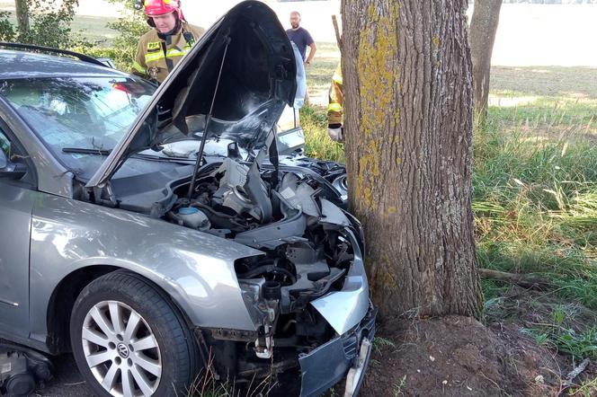 Samochód wbił się w drzewo niedaleko Strzelec Krajeńskich. Kierowca cudem przeżył!