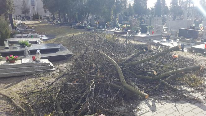 Silny wiatr narobił bałaganu na bydgoskich cmentarzach