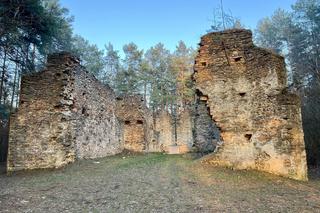 Ruiny kościoła w świętokrzyskim lesie. Legenda mówi, że pochodzą z XII wieku