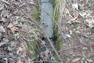 Prokuratura bada sprawę nielegalnej ubojni. Mięso miało trafiać do lokali w Małopolsce