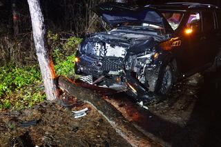 Koszmarny wypadek w Dąbrowie Górniczej. Jeden z samochodów ściął drzewo