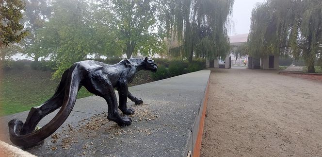 Zamojski Park jesienią