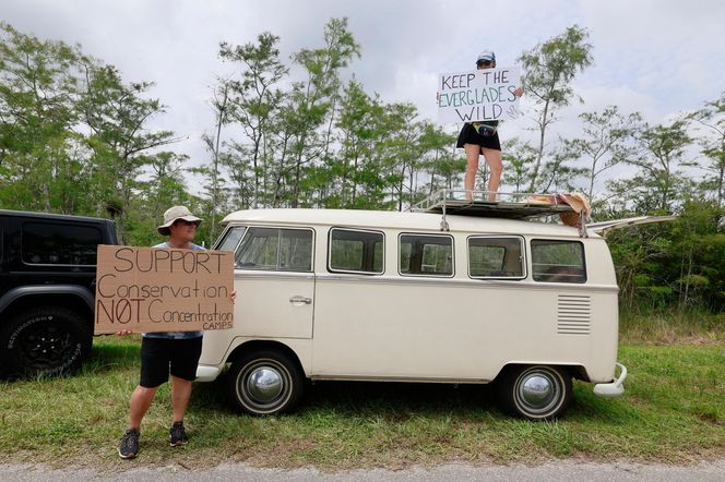 Otwierają "Aligatorowe Alcatraz". Trump zamknie imigrantów na mokradłach pełnych aligatorów i pytonów!