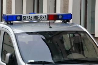 Policzono, ile kosztuje utrzymanie Straży Miejskiej w Gdańsku. Wiemy, ile każdego roku na nich łożysz [SONDA]