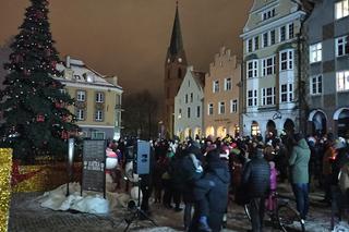 W sercu olsztyńskiej Starówki zapłonęła choinka! Odpalamy święta z Miejskim Ośrodkiem Kultury