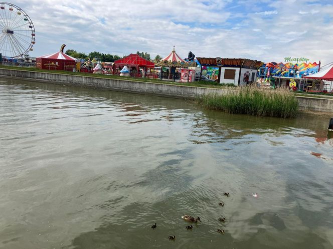 Krynica Morska to popularne miejsce na urlop. Jakie sątu ceny?
