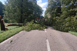 Podlaskie. Ponad 200 niedzielnych interwencji strażaków w związku z silnym wiatrem i burzami