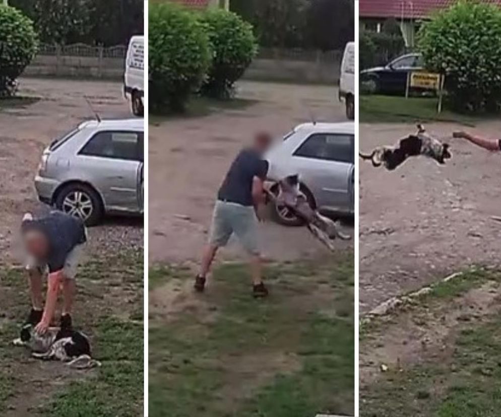 Złapał psa i rzucił nim o ziemię. Wstrząsające nagranie obiegło sieć