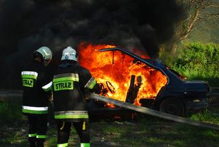 Leszno. Podpalił auto i spuścił psa. Interweniującego policjanta zabrała karetka!