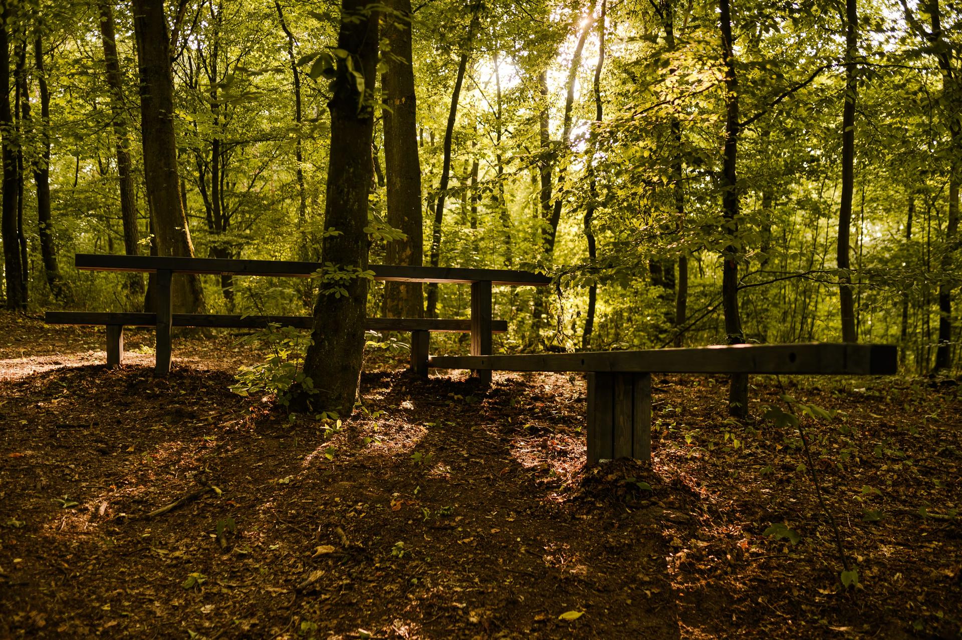 Warsztaty Mood for wood 2023 w Poznaniu – projekt „DIALOG” grupy pod kierunkiem architekta Miroslav Malý z czeskiej pracowni Malý Chmel