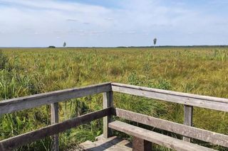 Okolice Koniuszek na Podlasiu