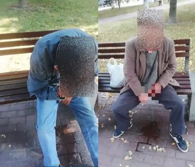 OBRZYDLIWOŚĆ w Stopnicy! Dwóch pijaków z PENISAMI na wierzchu zrobiło TO na ławce!