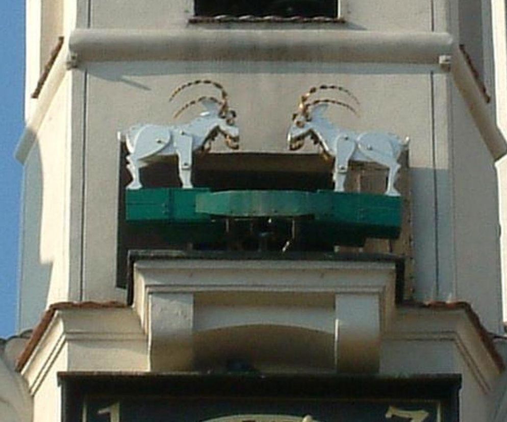 Poznańskie koziołki 