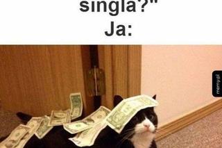 Dzień Singla 2025. Najlepsze memy dla tych, którzy nie świętują Walentynek