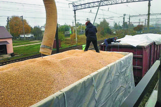 Takie są relacje Andrzeja Dudy i Wołodymyra Zełenskiego