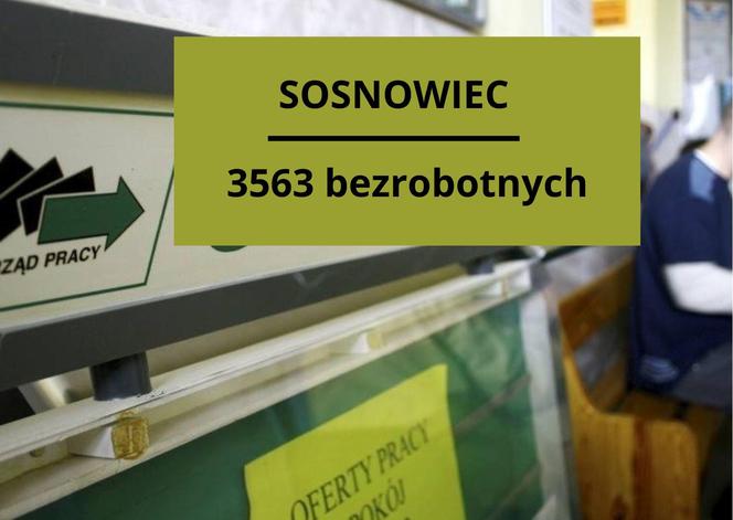 Gdzie jest najwięcej zarejestrowanych bezrobotnych? LISTA MIAST 