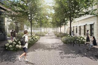 Tak zmieni się ul. Chmielna