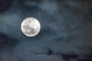 Pełnia Księżyca w lutym 2024. Kiedy na niebie pojawi się Śnieżny Księżyc?	
