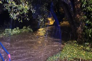 Ustroń pod wodą po nocnej ulewie. Po północy wylał potok Młynówka. Pod wodą wiele ulic i domów