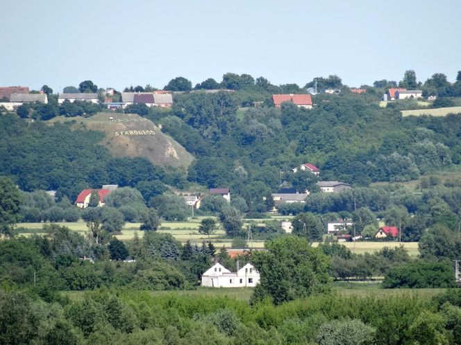 Kałdus